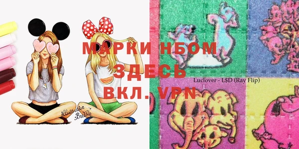 таблы Няндома