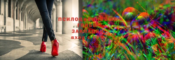 таблы Няндома