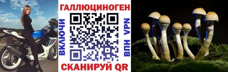 Псилоцибиновые грибы MAGIC MUSHROOMS  гидра зеркало  Санкт-Петербург  закладки 